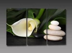 quadri moderni calla