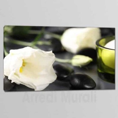 Quadri moderni fiori benessere tela unica