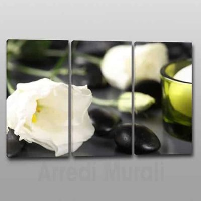 Quadri moderni fiori benessere 3 tele con fiori
