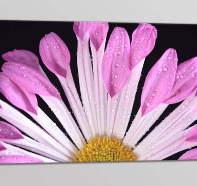 quadro moderno fiore stampa tela