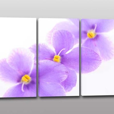 tris quadri moderni stampa fiori