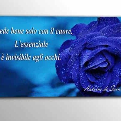 quadro moderno rosa blu frase