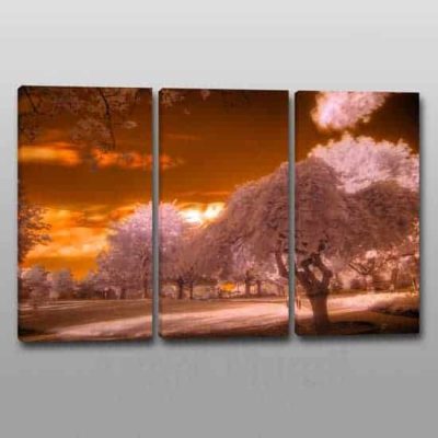 quadri moderni stampa paesaggio alberi 3 tele