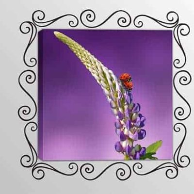 quadro moderno fiore adesivi murali cornice