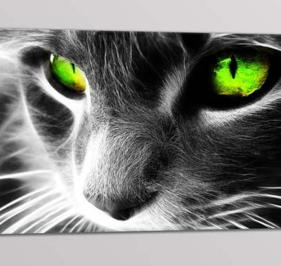 quadro moderno gatto occhi verdi