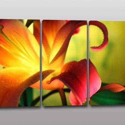 Quadri moderni fiore stampa tela