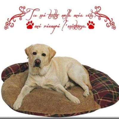 adesivi murali frase amico cane
