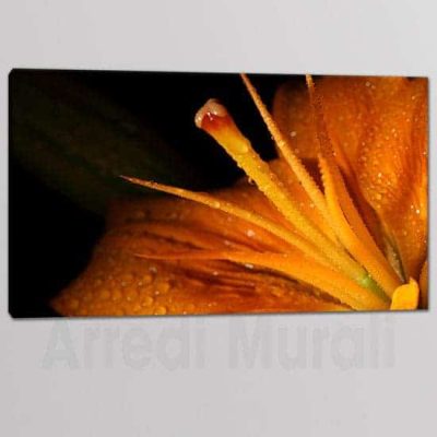 Tris quadri moderni fiore stampa tela 1 tela fiore arancione