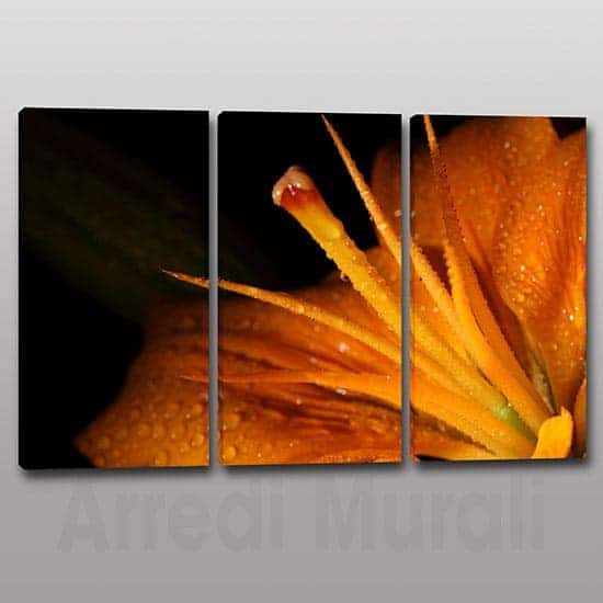 Tris quadri moderni fiore stampa tela 3 tele colore arancione