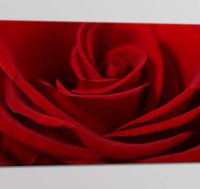 quadro moderno rosa rossa stampa fiore