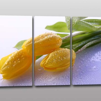 tris quadri moderni stampa fiori tulipani