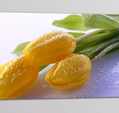 quadro moderno stampa fiori tulipani