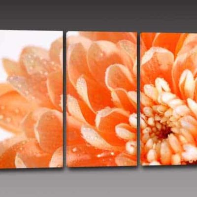 Quadri moderni stampa fiore arredo