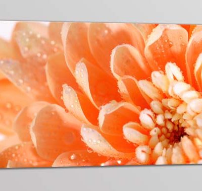 Quadro moderno stampa fiore arredo