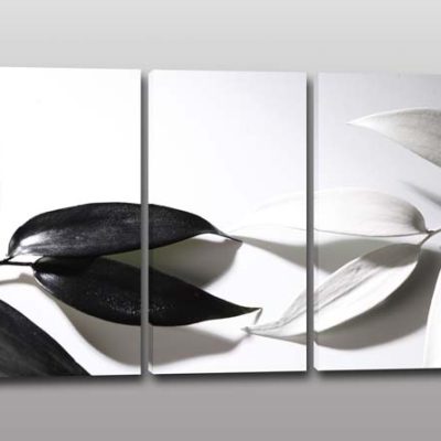 Quadri moderni stampa foglie bianche nere