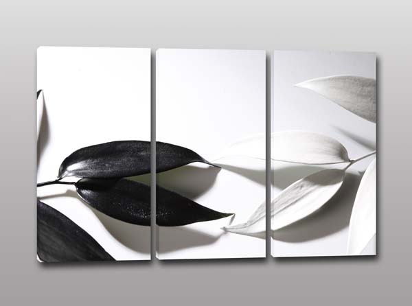 Quadri moderni stampa foglie bianche nere