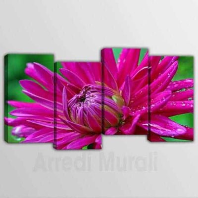 Quadri moderni fiore quattro stampe su tela irregolari