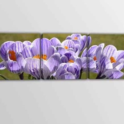 Tris quadri moderni fiori stampe su tela