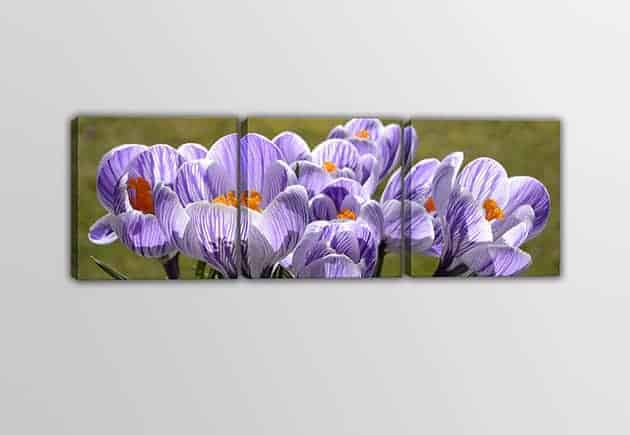 Tris quadri moderni fiori stampe su tela