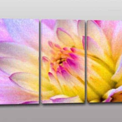 Quadri moderni stampa digitale su tela fiore arredo