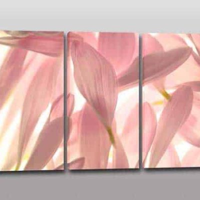 Quadri moderni stampa su tela petali fiori arredo