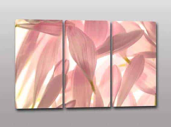 Quadri moderni stampa su tela petali fiori arredo