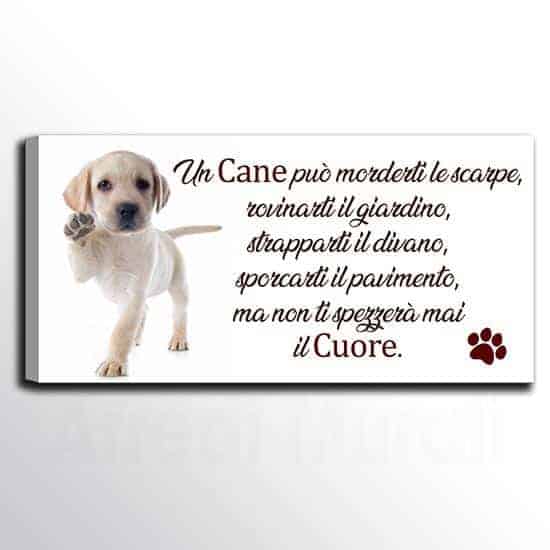 Quadro da parete con frase sul cane