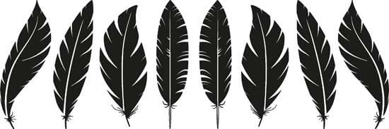 Piume adesive decorative 8 pz. da dividere