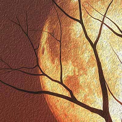 dettaglio tele canvas con paesaggio al tramonto