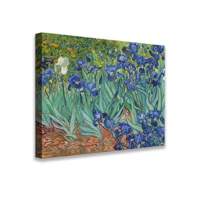 Quadro Iris di Van Gogh riproduzione