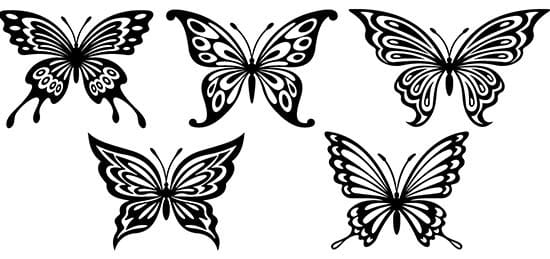 5 farfalle adesive grandi