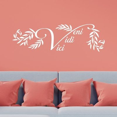 Veni vidi vici adesivi murali