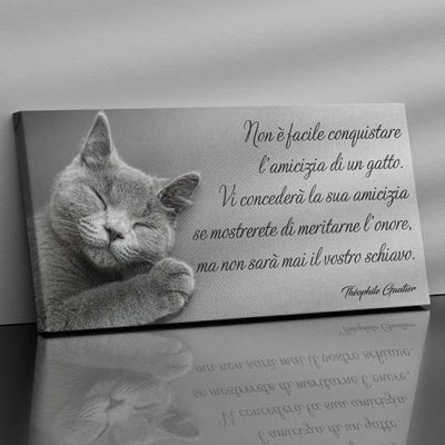 Quadro con gatto e frase su tela