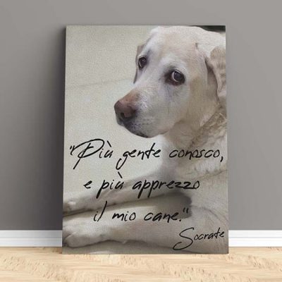 Quadro su tela con frase sul cane
