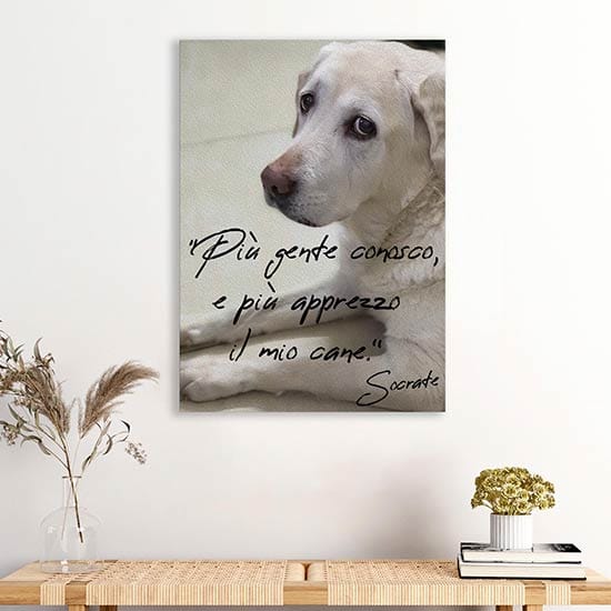 Quadro su tela con frase sul cane complemento d'arredo