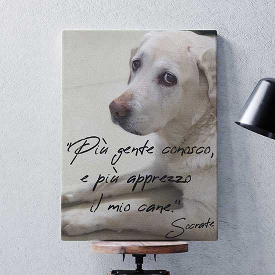 Quadro su tela con frase sul cane da appendere