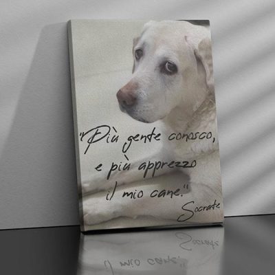 Quadro su tela con frase sul cane decorazione murale