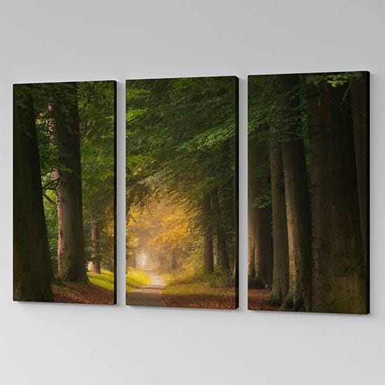 Tele moderne con paesaggio