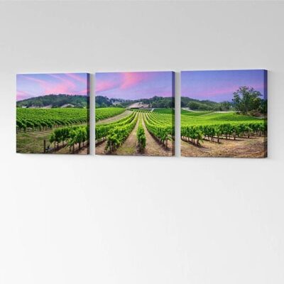 Quadri moderni paesaggio vigneto stampato su tela
